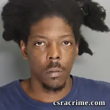 Laverne Robinson SR booking photo