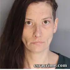 Leann Barziloski booking photo