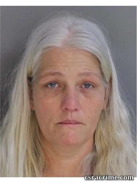 Leann Godwin booking photo