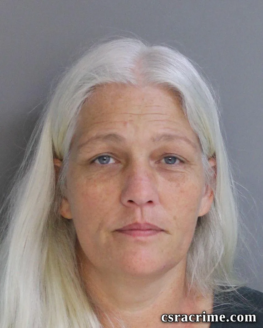 Leann Godwin booking photo
