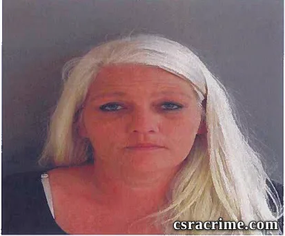 Leann Godwin booking photo
