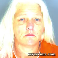 Leann Godwin booking photo