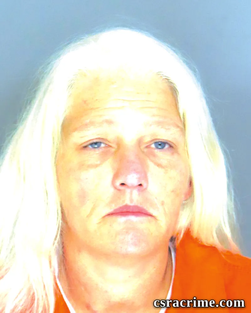 Leann Godwin booking photo