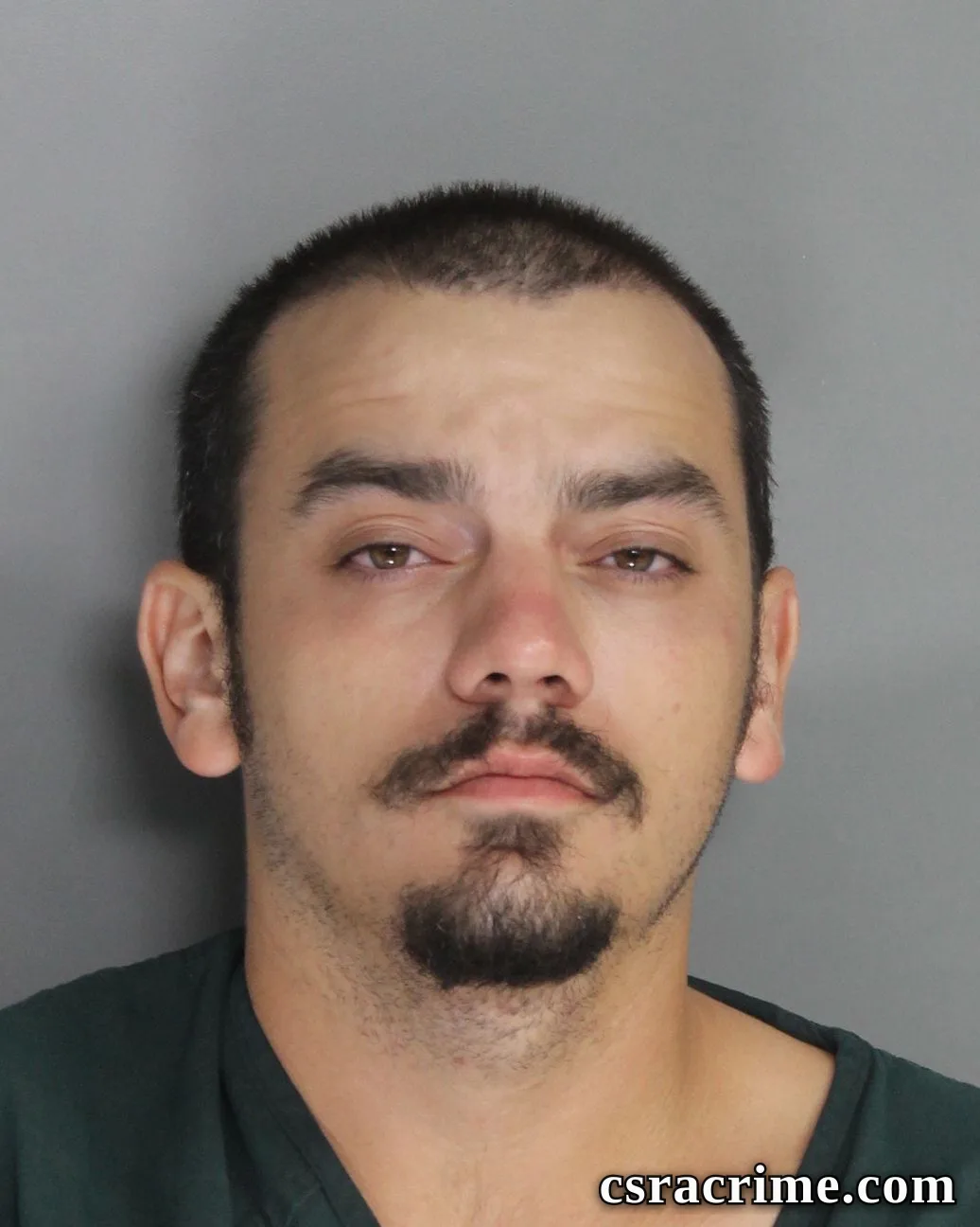 Lee Hiers III booking photo