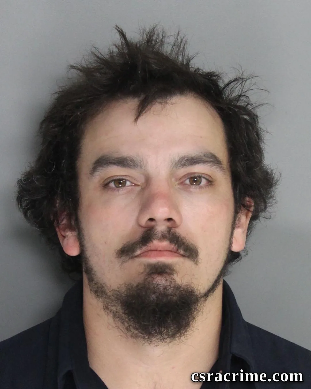Lee Hiers III booking photo