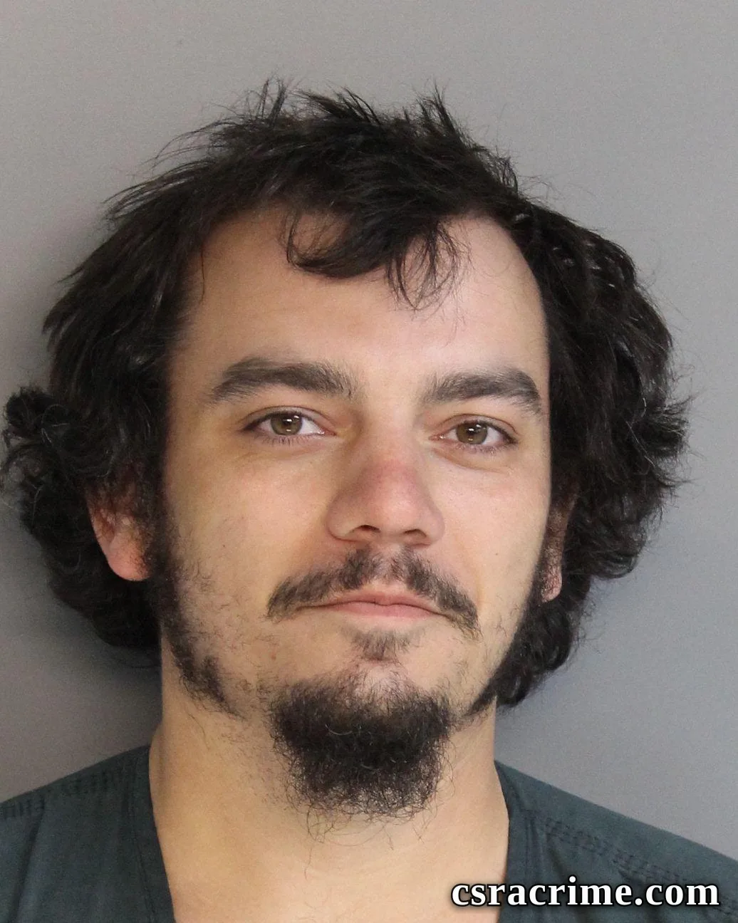 Lee Hiers III booking photo