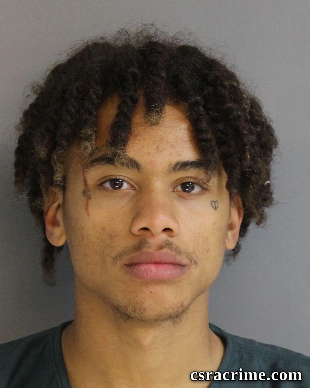 Lee Hudson booking photo