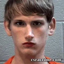 Lee Wells booking photo