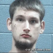 Lee Wells booking photo