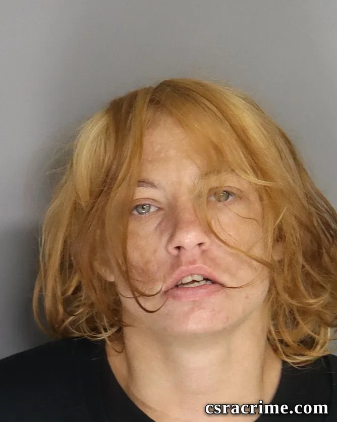 Lena Brown booking photo