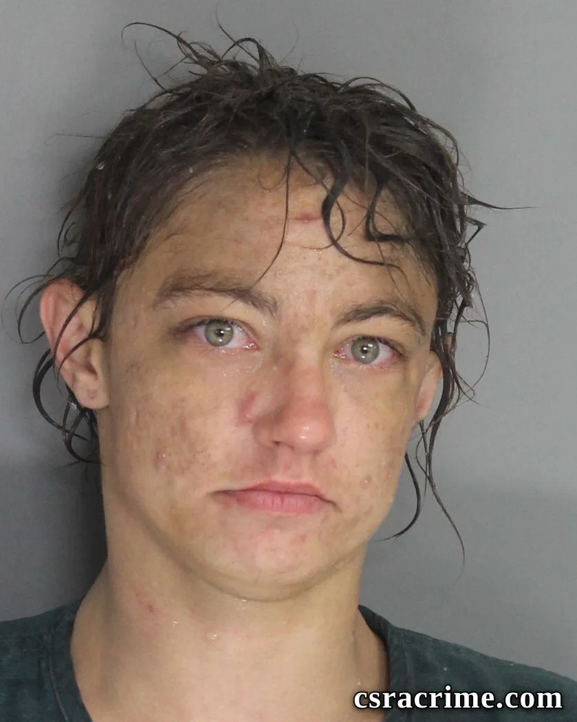 Lena Brown booking photo