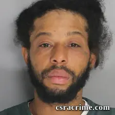 Leo Strom booking photo