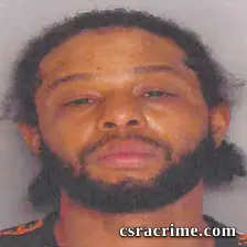 Leo Strom booking photo