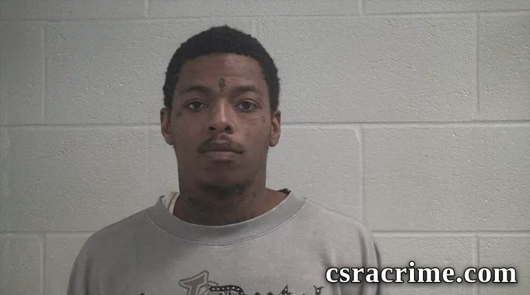 Leonardo Divinci Young booking photo