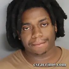 Leondre Williams booking photo