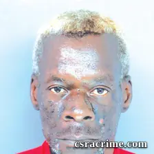 Leroy Johnson booking photo