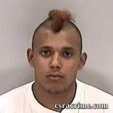Leslye Arauz booking photo