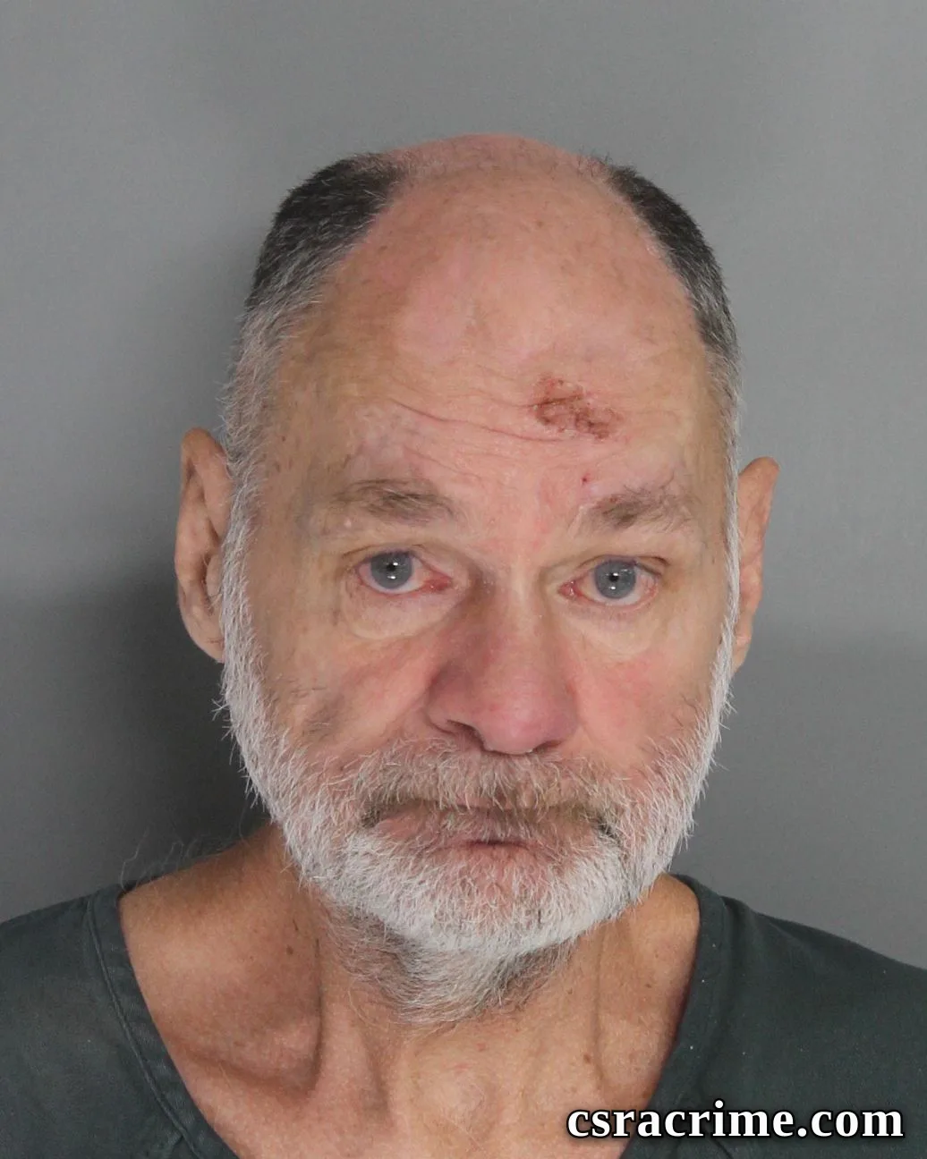 Lester Padgett JR booking photo