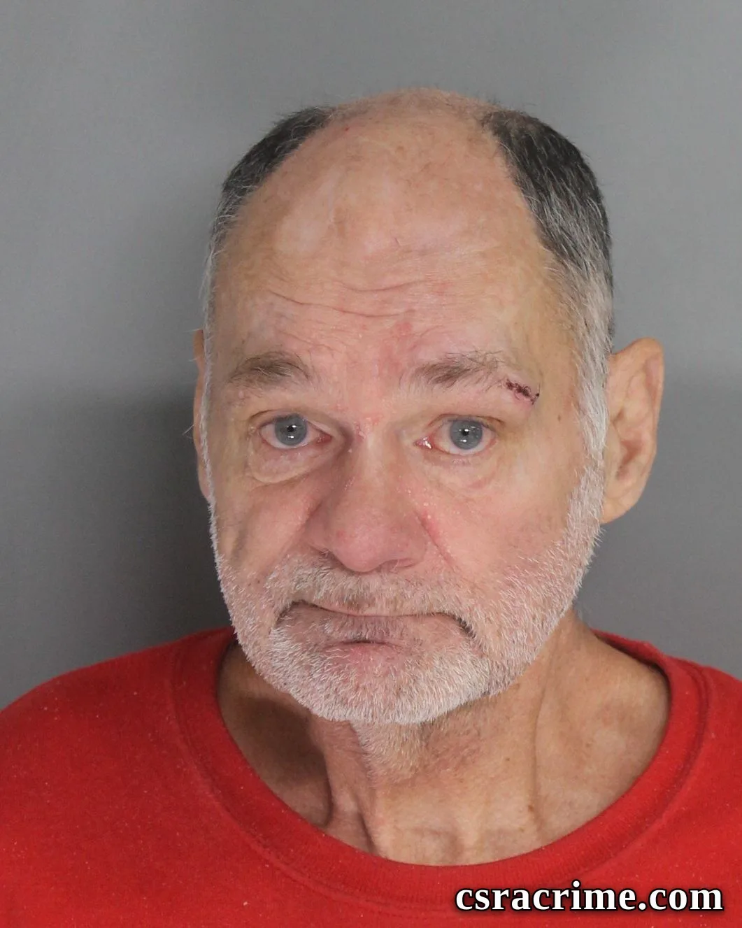 Lester Padgett JR booking photo