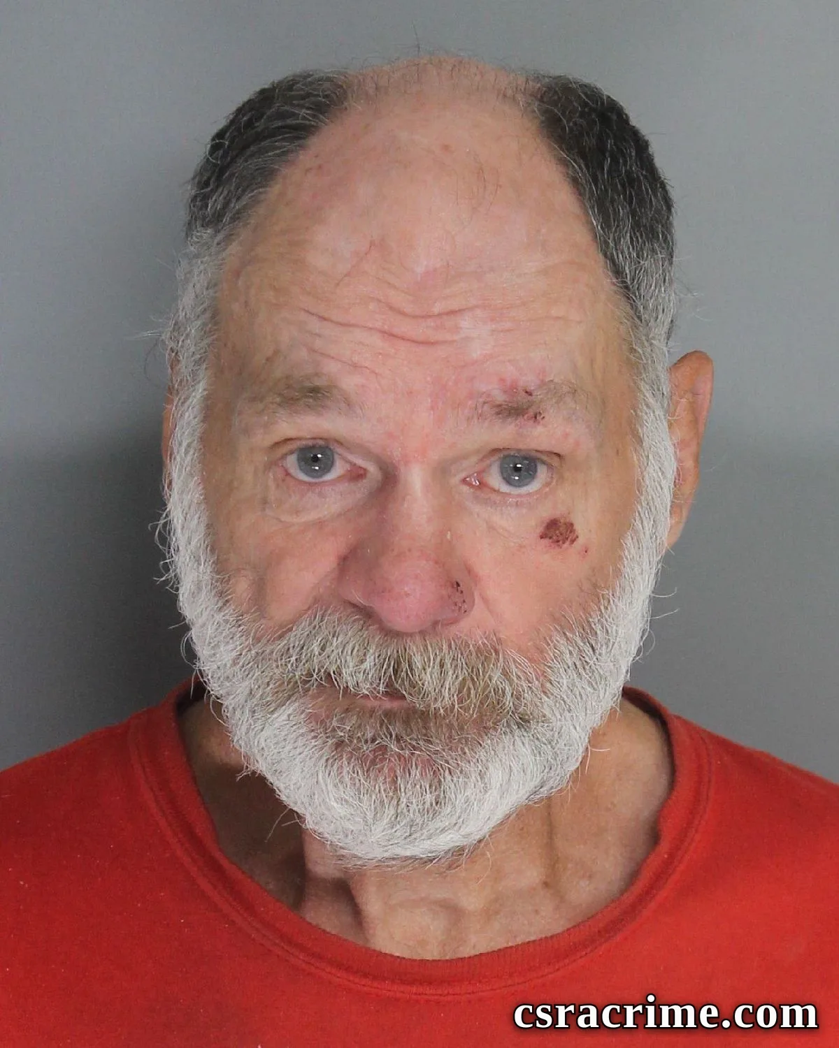 Lester Padgett JR booking photo
