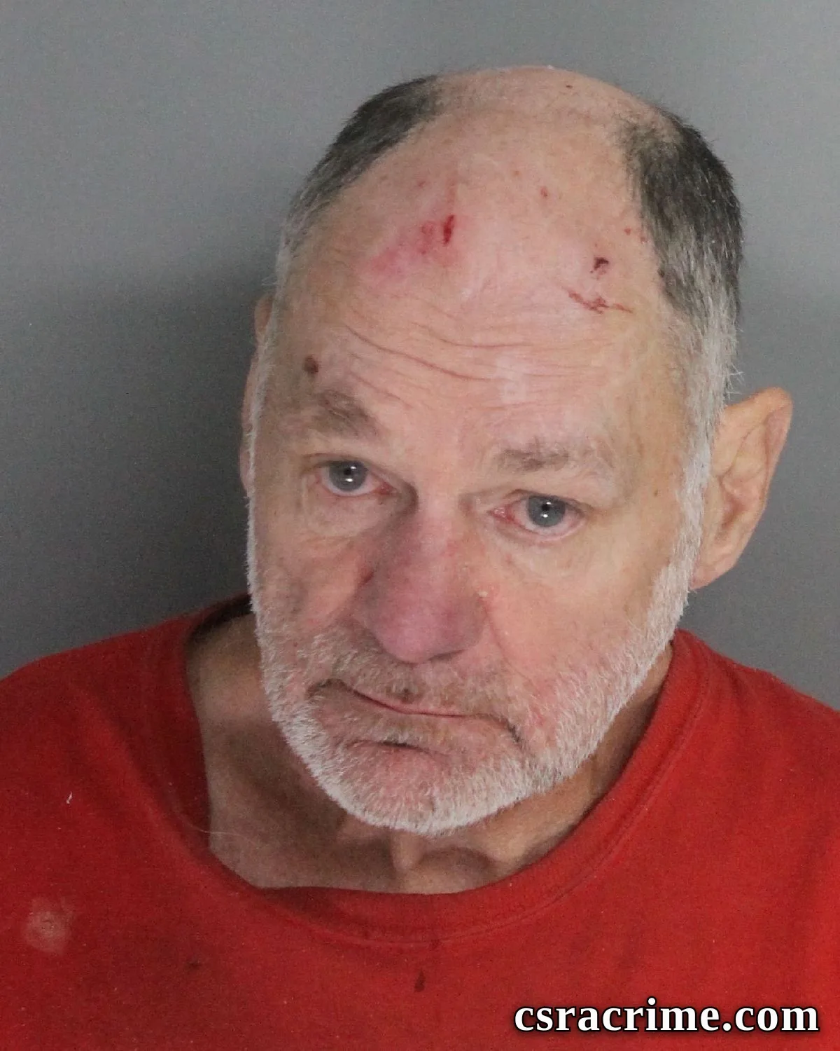 Lester Padgett JR booking photo