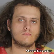 Levi Cook booking photo