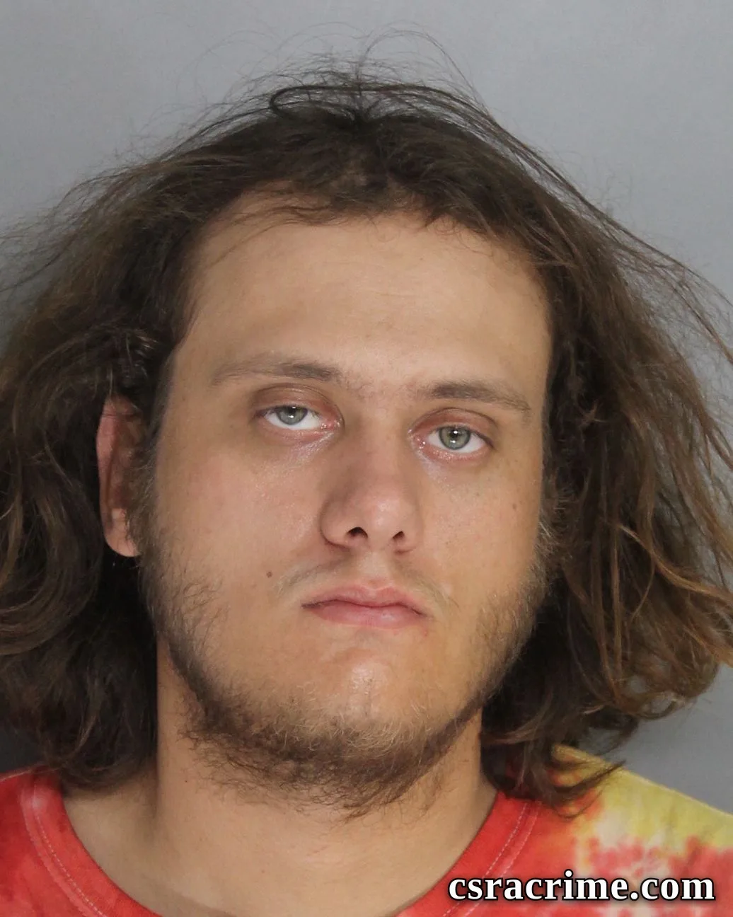 Levi Cook booking photo