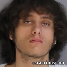 Levi Cook booking photo