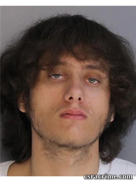 Levi Cook booking photo