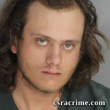 Levi Cook booking photo