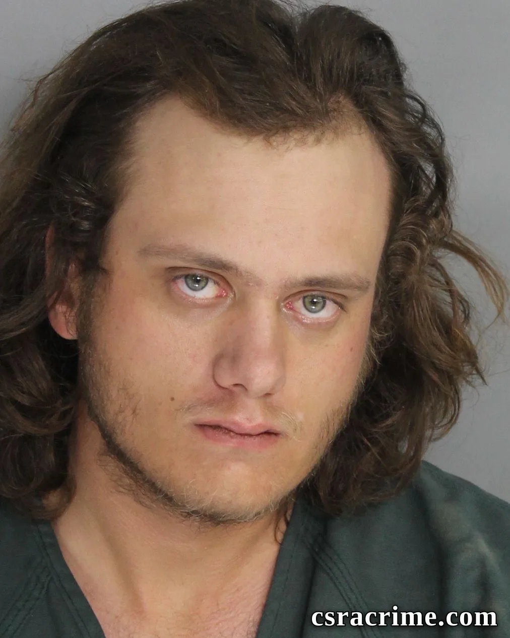 Levi Cook booking photo