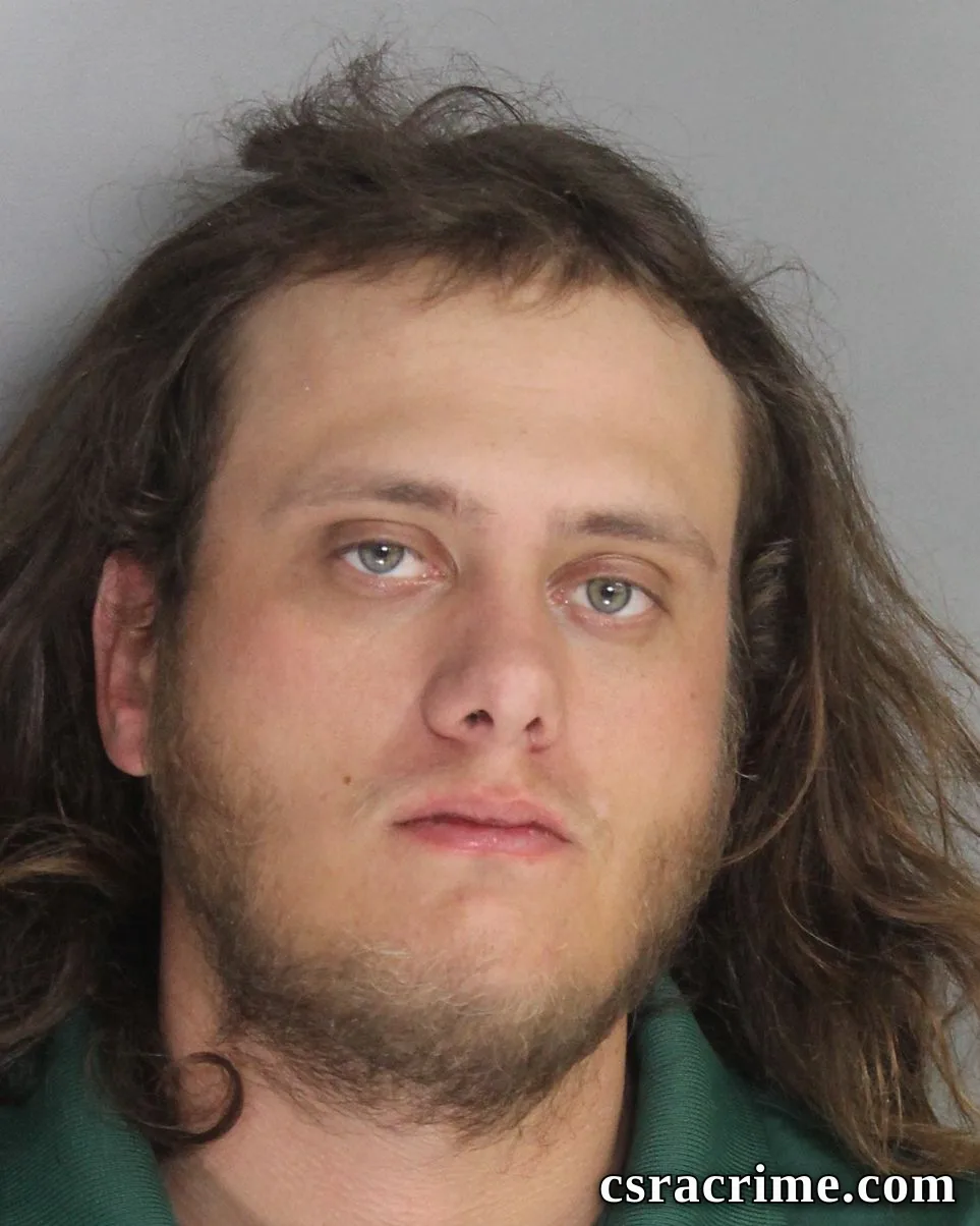 Levi Cook booking photo