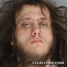 Levi Cook booking photo