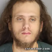 Levi Cook booking photo