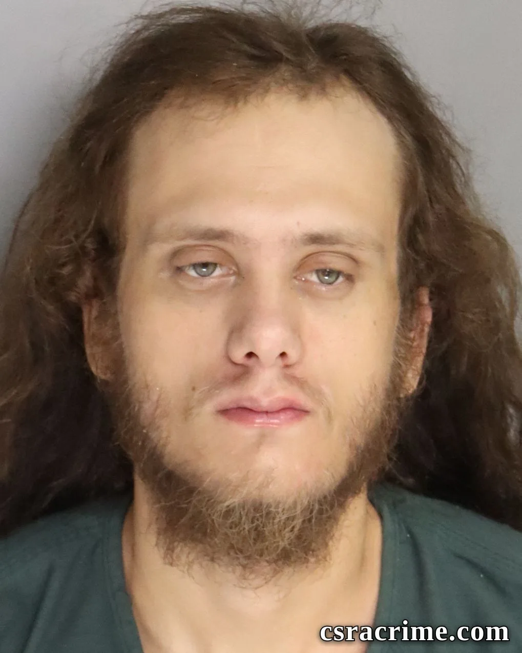 Levi Cook booking photo