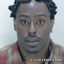 Levi Fulmer booking photo