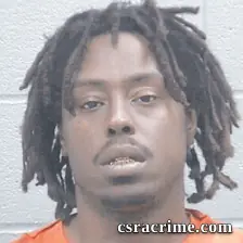 Levi Fulmer booking photo