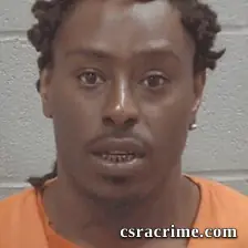 Levi Gerale Fulmer booking photo