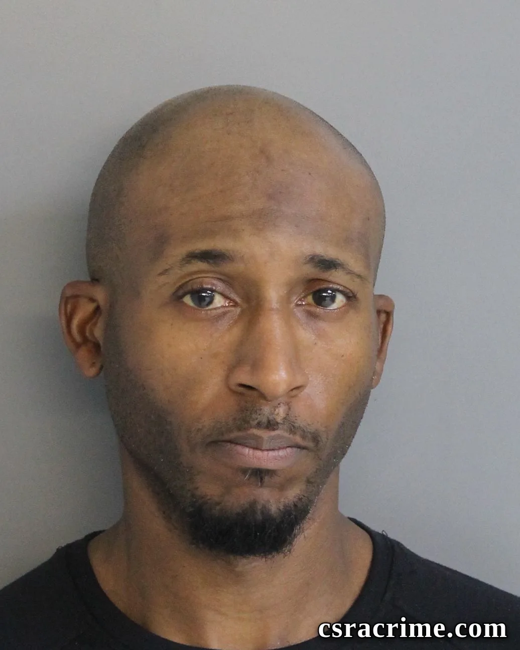 Levonne Jamison booking photo