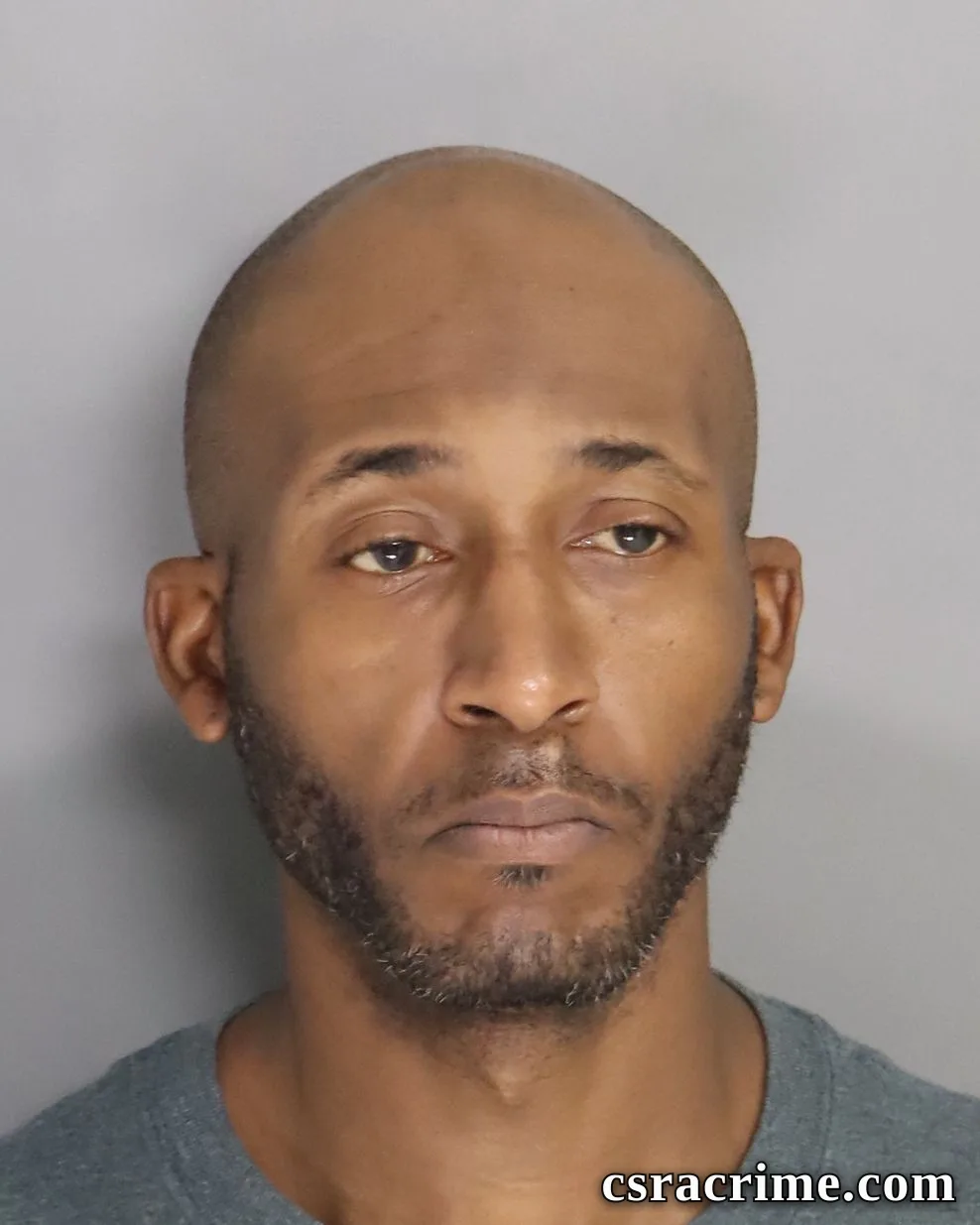 Levonne Jamison JR booking photo