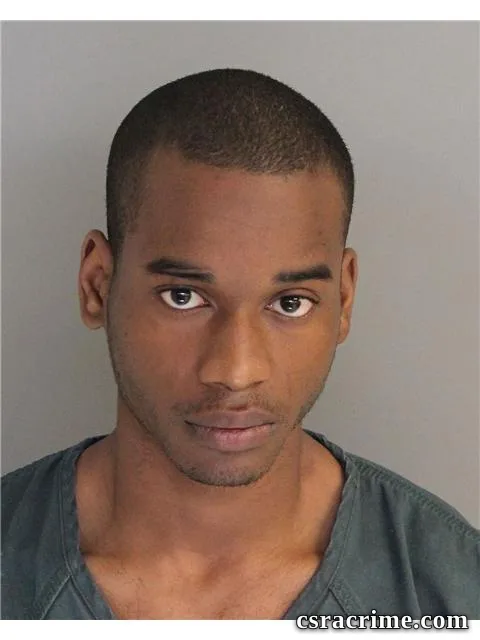 Lewis Butler JR booking photo