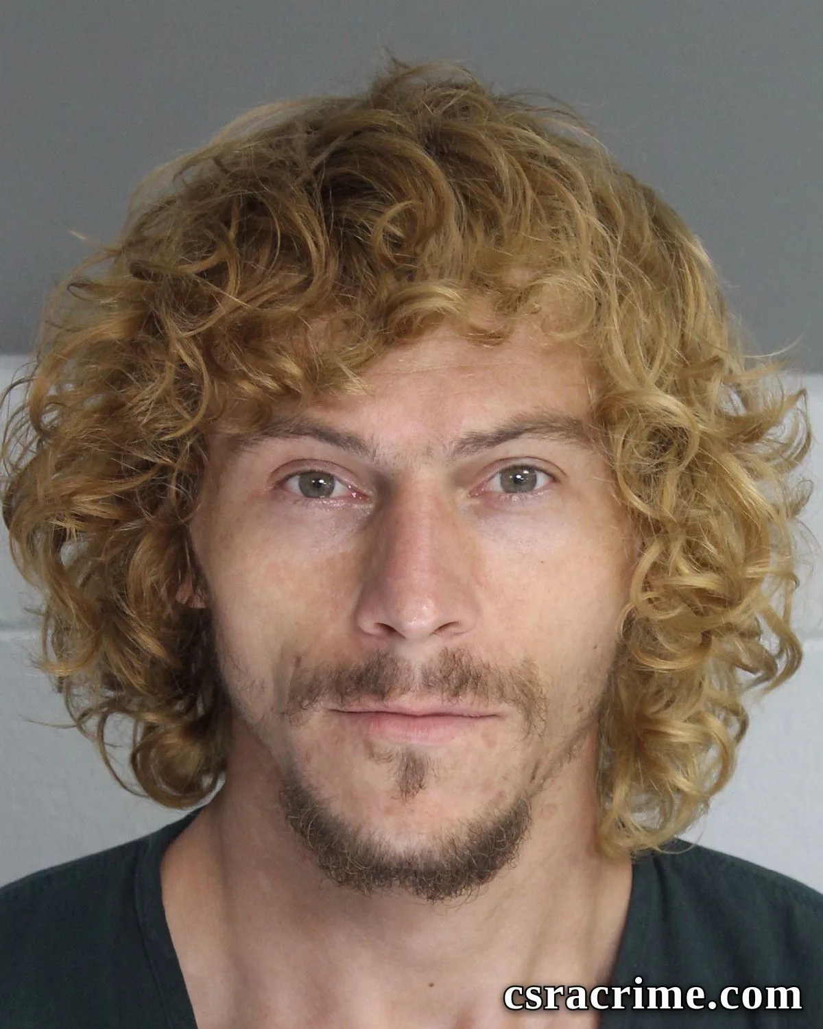 Lewis Mccarty JR booking photo
