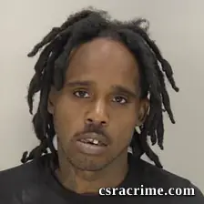 Lewis Thomas Harmon JR booking photo