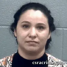 Lidia Robison booking photo