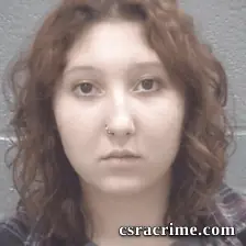 Lillyn Dickerson booking photo