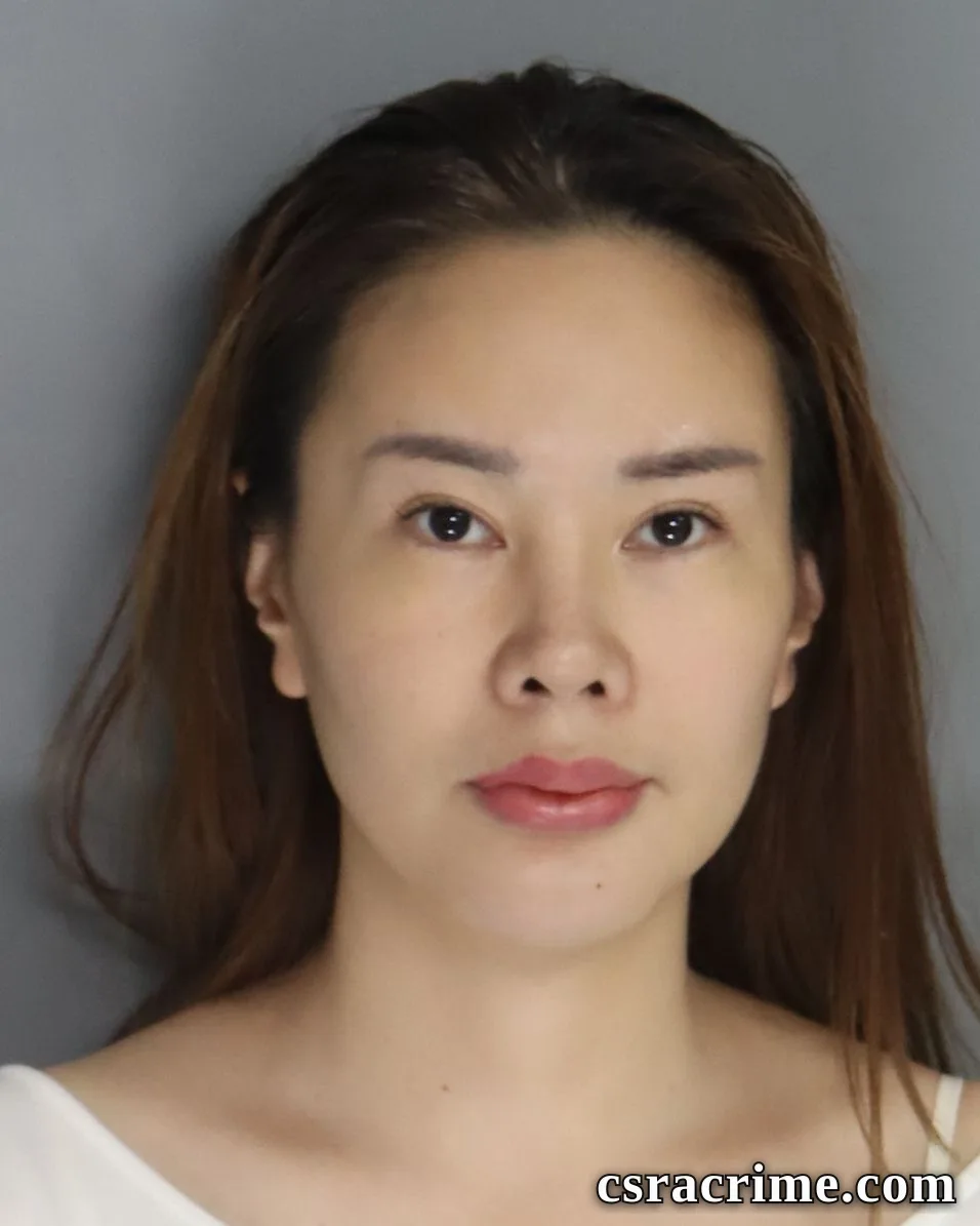 Lin Lizhen booking photo