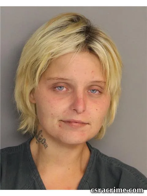 Linda Butler booking photo