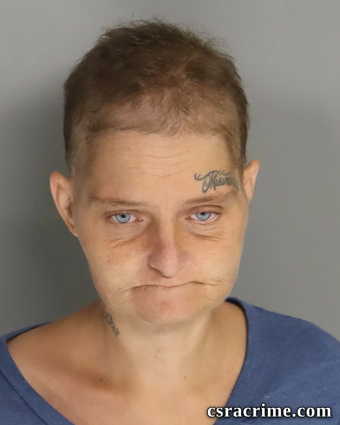 Linda Butler booking photo