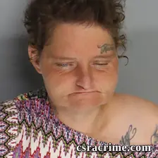 Linda Butler booking photo