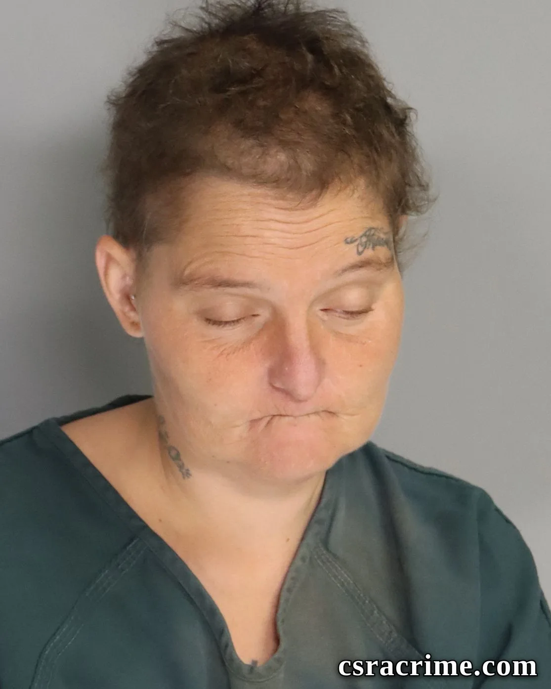 Linda Butler booking photo